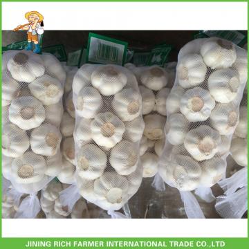 Hot Sale Jinxiang Fresh Red Garlic High Quality Cheapest Price 5.0CM