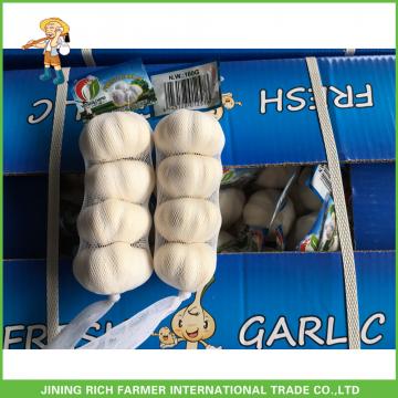 Jinxiang China Fresh White Garlic High Quality Cheapest Price 5.0CM