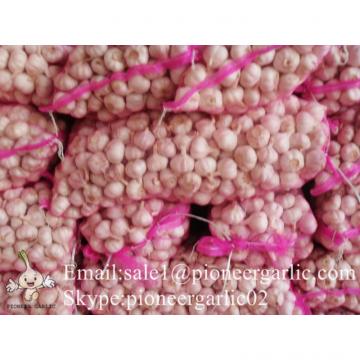 Loose Packing 5-5.5cm Fresh Red Garlic Produced In Jinxiang Shandong China