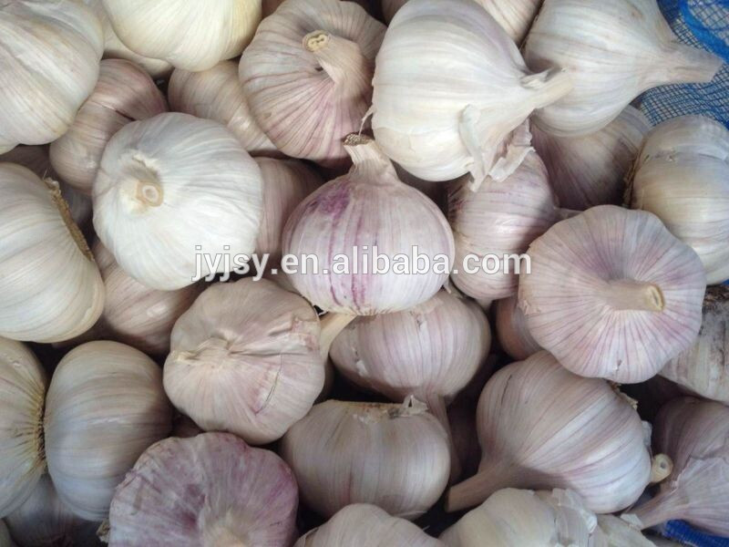 Chinese garlic for 2017