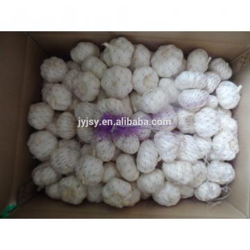 fresh garlic from china 2017