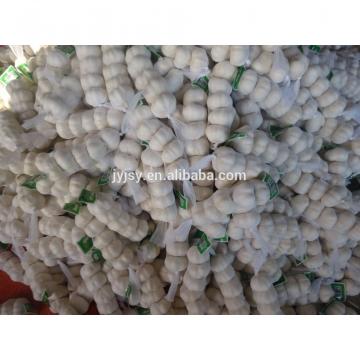 fresh garlic of 2017 from china