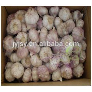 fresh garlic on sale for 2017 chinese garlic
