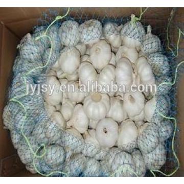 2017 garlic from jinxiang shandong China