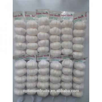 Chinese Fresh Pure white garlic price