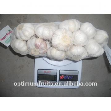 fresh white garlic from China top quality