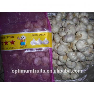 Natural high quality fresh white garlic