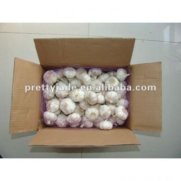 red garlic for sale