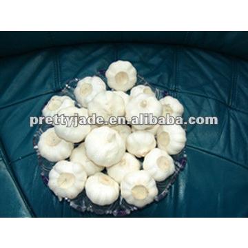 Chinese garlic for export