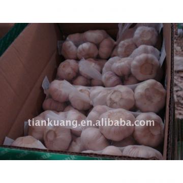 china cheap garlic