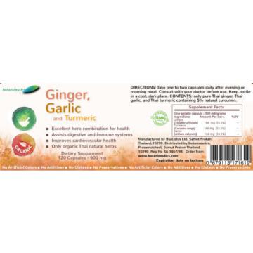 360 Ginger, Garlic &amp; Turmeric Capsules - Circulatory Help, Antioxidant, 500 Mgs
