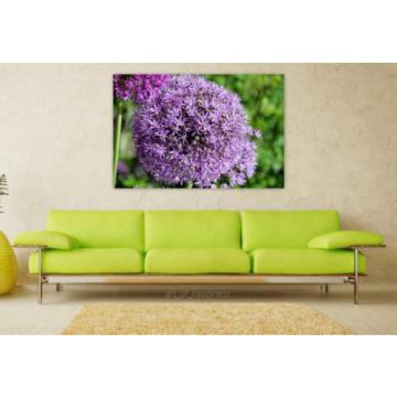 Stunning Poster Wall Art Decor Garlic Sphere Violet Plant Flower 36x24 Inches