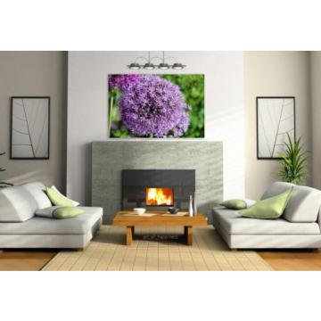 Stunning Poster Wall Art Decor Garlic Sphere Violet Plant Flower 36x24 Inches