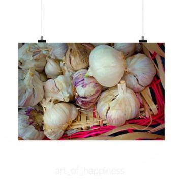 Stunning Poster Wall Art Decor Garlic Bulb Onion Allium Sativum 36x24 Inches