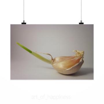 Stunning Poster Wall Art Decor Food Garlic 36x24 Inches