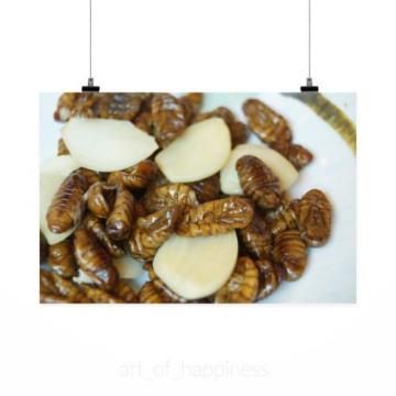 Stunning Poster Wall Art Decor Chrysalis Silkworm Garlic Chrysalis 36x24 Inches