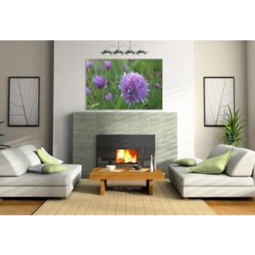 Stunning Poster Wall Art Decor Purple Flower Wild Garlic Flowers 36x24 Inches