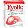 Kyolic Aged Garlic Extract Cardiovascular Liquid Vegetarian - 2 fl oz
