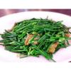 300 Seeds Garlic chives Leek Chinese Chives Oriental Garlic + Delivery #4 small image