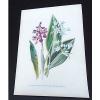 Print Common Orchis &amp; Broad Leaved Garlic #1 small image