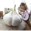 New Cute vegetables cartoon pillow garlic doll plush toys home decoration 40cm #1 small image