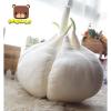New Cute vegetables cartoon pillow garlic doll plush toys home decoration 40cm #4 small image