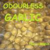 Garlic (30 Inodore Capsules) approvisionnement de 1 mois L)