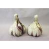 Vintage Inarco Japan Garlic Cloves Salt &amp; Pepper Shaker Set Porcelain