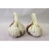 Vintage Inarco Japan Garlic Cloves Salt &amp; Pepper Shaker Set Porcelain #5 small image