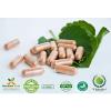 Garlic Odourless Pure Herb Capsules 100 X 100mg #1 small image