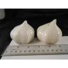 SALT &amp; PEPPER SET WHITE GARLIC CLOVE CULINARY COOKING COLLECTABLE UNIQUE QUIRKY