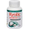 Kyolic Aged Garlic Extract One Per Day Cardiovascular - 1000 mg - 60 Caplets #1 small image