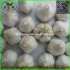 Garlic 2017 year china new crop garlic Wholesale  Price  Per  Ton  normal/Pure/peeled White Garlic