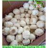 Hot 2017 year china new crop garlic Sale  Chinese  White  Fresh  Spicy Garlic