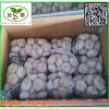 China&#39;s 2017 year china new crop garlic fresh  garlic  -  shandong 