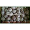Pure 2017 year china new crop garlic Purple  Garlic,  Normal  Purple  Garlic
