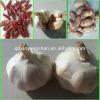 [HOT]Fresh 2017 year china new crop garlic Garlic  by  5kg/10kg/  small  pakage