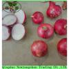Fresh 2017 year china new crop garlic Chinese  Jinxiang  Garlic  Price  Per Ton Packing In Mesh Bag