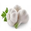 Laiwu 2017 year china new crop garlic 5.5  natural  white  fresh  garlic