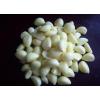 Wholesale 2017 year china new crop garlic normal  white  fresh  garlic  with mesh bag or ctn