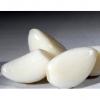 Hot 2017 year china new crop garlic sale  fresh  Chinese  normal  white garlic