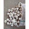YUYUAN 2017 year china new crop garlic brand  hot  sail  fresh  garlic garlic digger