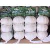 YUYUAN 2017 year china new crop garlic brand  hot  sail  fresh  garlic garlic extract