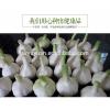YUYUAN 2017 year china new crop garlic brand  hot  sail  fresh  garlic garlic in usa
