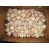 Fresh 2017 year china new crop garlic Garlic    