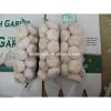 1kg 2017 year china new crop garlic /bag  white  garlic  