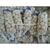1kg 2017 year china new crop garlic /bag  white  garlic  