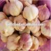 Normal 2017 year china new crop garlic white  and  pure  white  garlic