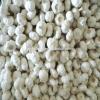 White 2017 year china new crop garlic garlic    