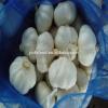 2017 2017 year china new crop garlic new  crop  fresh  garlic 
